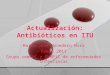 Actualización: Antibióticos en ITU Maria José Monedero Mira Enero 2011 Grupo semFYC y SVMFiC de enfermedades infecciosas