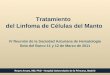 Tratamiento del Linfoma de Células del Manto IV Reunión de la Sociedad Asturiana de Hematología Soto del Barco 11 y 12 de Marzo de 2011 Reyes Arranz, MD,