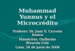 Muhammad Yunnus y el Microcrédito Profesor: Dr. Juan S. Carreón Ramos Maestrista: Guillermo Rivarola Cole Lima, 28 de junio de 2008