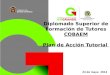 Diplomado Superior de Formación de Tutores COBAEM Plan de Acción Tutorial 24 de mayo 2013