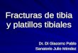 Fracturas de tibia y platillos tibiales Dr. Di Giacomo Pablo Sanatorio Julio Méndez