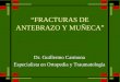 FRACTURAS DE ANTEBRAZO Y MUÑECA Dr. Guillermo Carmona Especialista en Ortopedia y Traumatología