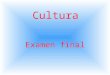 Cultura Examen final. el amor a la madre el sentimiento más fuerte en la cultura latinoamericana y española