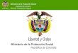 Ministerio de la Protección Social República de Colombia Dirección Territorial de Antioquia Ministerio de la Protección Social República de Colombia