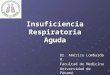 Insuficiencia Respiratoria Aguda Dr. Américo Lombardo H. Facultad de Medicina Universidad de Panamá