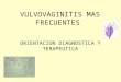 VULVOVAGINITIS MAS FRECUENTES ORIENTACION DIAGNOSTICA Y TERAPEUTICA