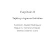 Capítulo 8 Tejido y órganos linfoides Andrés E. Castell Rodríguez Miguel A. Herrera Enríquez Martha Ustarroz Cano
