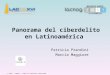 © 2011 – LACNIC – Todos los derechos reservados Panorama del ciberdelito en Latinoamérica Patricia Prandini Marcia Maggiore