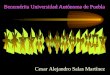 Benemérita Universidad Autónoma de Puebla Cesar Alejandro Salas Martínez