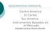 DESCRIPCION FORESTAL Centro America El Caribe Sur America Instrumentos Basados en el Mercado Claudia Lorena Osorio Davila