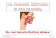 14/11/2013 1. Delimitar y describir la faringe. Explicar su división en nasofaringe, orofaringe y laringofaringe. Resumir las estructuras de cada región