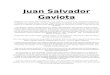 Juan Salvador Gaviota-richard Bach