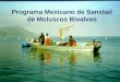 Programa Mexicano de Sanidad de Moluscos Bivalvos