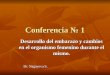 Conferencia 1 Desarrollo del embarazo y cambios en el organismo femenino durante el mismo. Dr. Nagayeva S. Dr. Nagayeva S