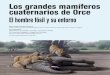 grandes mamiferos de Orce Bienvenido - Yacimiento de Orce.pdf