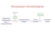 Neoplasias Hematológicas Célula de la médula ósea, timo o sistema linfoide Mutación Cambio genético Transformación maligna Clona anormal Evolución clonal