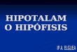 HIPOTALAMO HIPÓFISIS. HIPOTÁLAMO HIPÓFISIS Tiroides, adrenales, Gónadas, crecimiento, Balance agua Regulación Tª Actividad SNA Control apetito Señales
