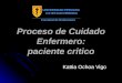 Proceso de Cuidado Enfermero: paciente critico Kattia Ochoa Vigo Facultad de Enfermería UNIVERSIDAD PERUANA CAYETANO HEREDIA