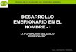 BACHILLERATO MARIANISTAS + COMPAÑÍA DE MARÍA Prof. VÍCTOR M. VITORIA Anatomía y Fisiología Humanas - EMBRIOLOGÍA DESARROLLO EMBRIONARIO EN EL HOMBRE -