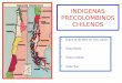 INDIGENAS PRECOLOMBINOS CHILENOS Estos se dividen en tres zonas: Zona Norte Zona Central Zona Sur