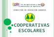 COOPERATIVAS ESCOLARES Ministerio de Agricultura y Ganadería Viceministerio de Agricultura DIRECCIÓN DE EDUCACIÓN AGRARIA