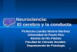 1 Neurociencia: El cerebro y la conducta Profesora-Lourdes Moreno Martínez Universidad de Puerto Rico Recinto de Río Piedras Facultad de Ciencias Sociales