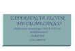 EXPERIENCIA SECTOR METALMECÁNICO (Aplicación metodología WISE OIT con modificaciones) SURATEP COLOMBIA