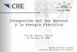 Integración del Gas Natural y la Energía Eléctrica Dionisio Pérez-Jácome Comisión Reguladora de Energía Río de Janeiro, Brasil 25 de mayo de 2004 ariae