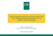 Instrumentos para la consecución de los objetivos comunitarios en el sector de la energía Casandra Viñuela Beato Jefa de Área – Secretaría del Consejo
