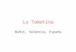 La Tomatina Buñol, Valencia, España. Destacado Se celebra el último miércoles de cada mes de agosto. No tiene significado político o religioso, es