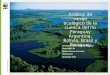 Análisis de riesgo ecológico de la cuenca del río Paraguay Argentina, Bolivia, Brasil y Paraguay Cesar Balbuena F. (WWF Paraguay) Materiales de Glauco