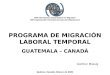 IOM International Organization for Migration OIM Organización Internacional para las Migraciones Québec, Canadá, febrero de 2009 PROGRAMA DE MIGRACIÓN