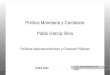 ILPES 2007 Políticas Macroeconómicas y Finanzas Públicas 7 DE NOVIEMBRE DE 2007 Política Monetaria y Cambiaria Pablo García Silva