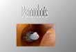 Nanobot, nanorobot, nanite, nanomáquinas nanomáquinas También llamado algunas veces nanoagente (nanoagent), hace referencia a una imaginaria máquina o