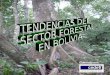Elaborada por:. Antecedentes Bolivia posee una riqueza forestal de aproximadamente 53.4 millones de hectáreas (alrededor del 48% de su superficie) El