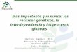 Mas importante que nunca: los recursos genéticos, la interdependencia y los procesos globales Marleni Ramirez, Ph.D., Bioversity International, Americas