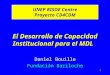 1 El Desarrollo de Capacidad Institucional para el MDL Daniel Bouille Fundación Bariloche UNEP RISOE Centre Proyecto CD4CDM
