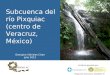 Subcuenca del río Pixquiac (centro de Veracruz, México) Georgina Vidriales Chan Julio 2012 Iniciativa apoyada por: Programa Cuencas y Ciudades III