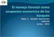 Rudy A. Guzman Gutierrez CADEFOR Junio, 2012. Que es manejo forestal sostenible para la producción de madera? El manejo forestal sostenible para la producción