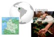 Colombia. Geografía Fronteras con Panama, Venezuela, Brazil, Peru, Ecuador. Costas en el Pacífico y el mar caribe