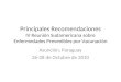 Principales Recomendaciones IV Reunión Sudamericana sobre Enfermedades Prevenibles por Vacunación Asunción, Paraguay 26-28 de Octubre de 2010