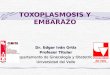 TOXOPLASMOSIS Y EMBARAZO Dr. Edgar Iván Ortiz Profesor Titular Departamento de Ginecología y Obstetricia Universidad del Valle
