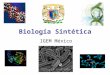 Biología Sintética IGEM México. DNA Como se organiza Código genético Dogma Central de la Biología Molecular