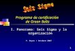 1 Programa de certificación de Green Belts I. Panorama: Seis Sigma y la organización P. Reyes / Octubre 2007