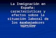 La Inmigración en España: características y efectos sobre la situación laboral de los trabajadores nativos Raquel Carrasco Carlina Ortega