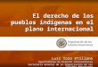 El derecho de los pueblos indígenas en el plano internacional Luis Toro Utillano Departamento de Derecho Internacional Secretaría General de la Organización