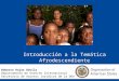 Introducción a la Temática Afrodescendiente Roberto Rojas Dávila Departamento de Derecho Internacional Secretaría de Asuntos Jurídicos de la OEA