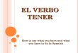 E L V ERBO TENER How to say what you have and what you have to do in Spanish