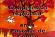 Competencia espiritual en la Pastoral de Centro. ¿cómo es la pastoral de nuestros centros?