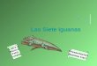 Las Siete Iguanas L etra y Música Patti Lozano Presentación Jeanine Carr